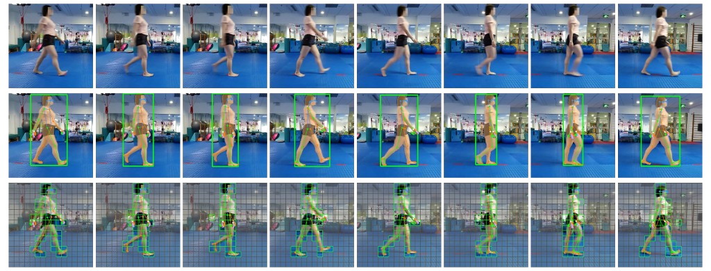 CGV annotation example: raw frames, bounding boxes with keypoints, and mask-guided pruning across a gait cycle