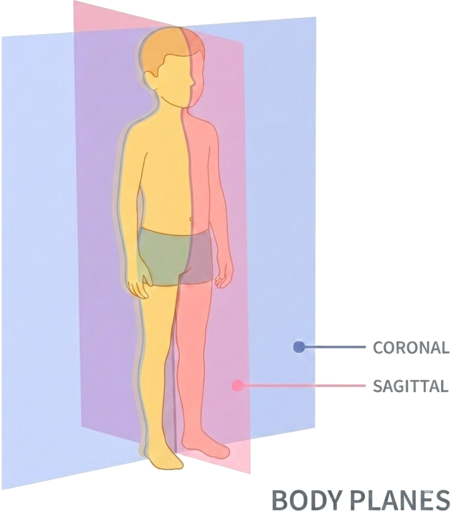 Child body planes: coronal and sagittal